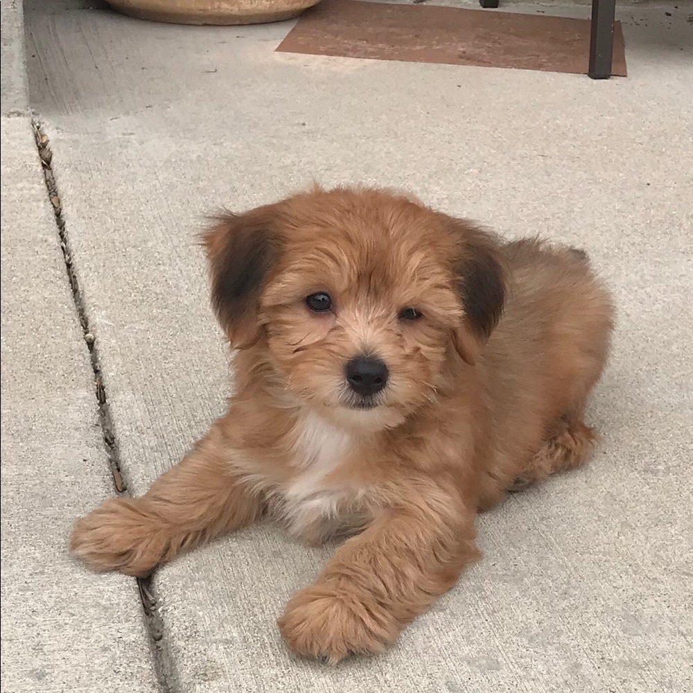 Meet your Posher, Aaron